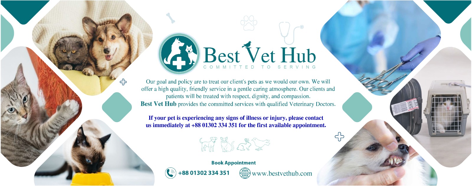 Veterinarian with pet